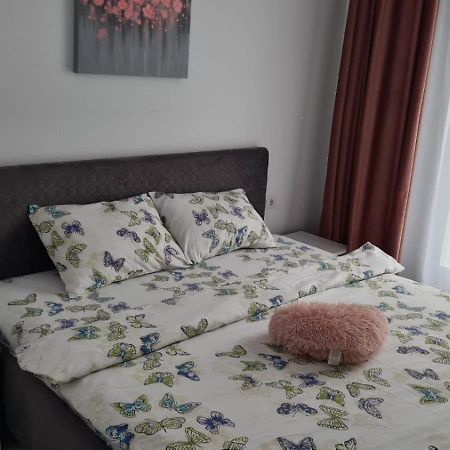Apartament Apartament Lucian Râmnicu Vâlcea Zewnętrze zdjęcie